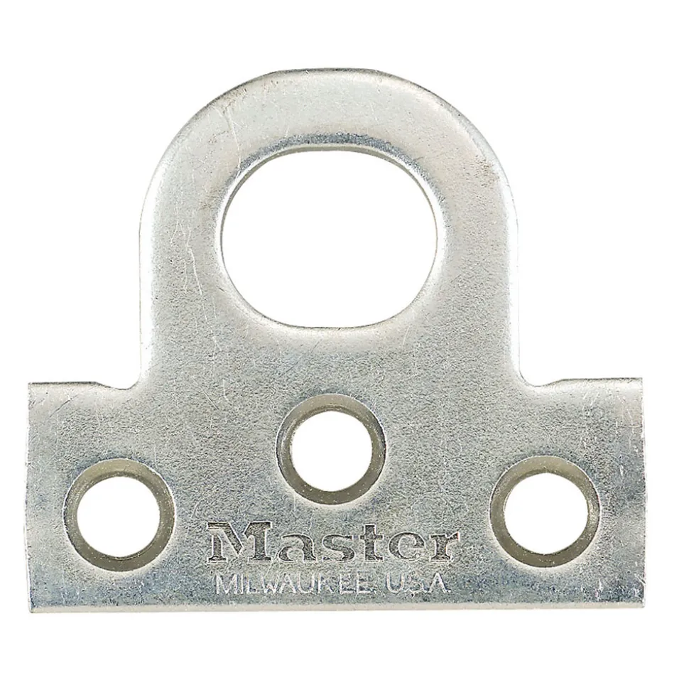 Hasp and Hasp Lock