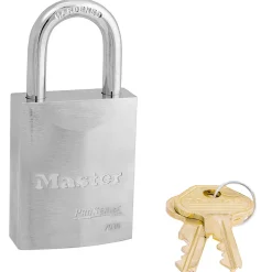 ProSeries® Solid Steel Lock