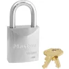 ProSeries® Solid Steel Lock