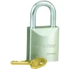 ProSeries® Solid Steel Lock