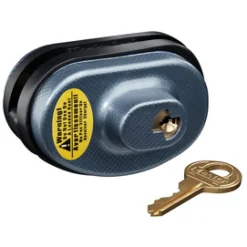 Trigger Locks