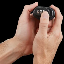 Trigger Locks